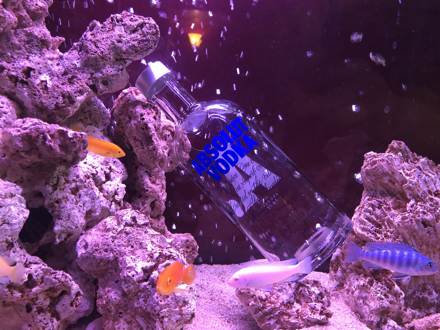 小さな海