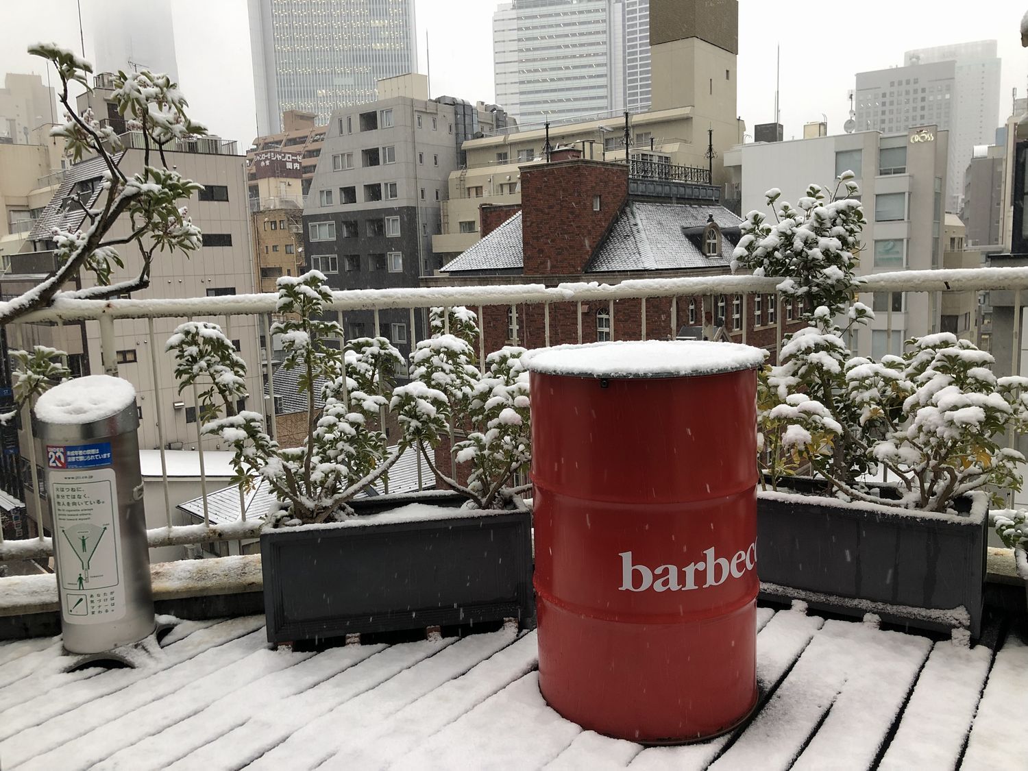 2022年の始まりは雪とオミクロン