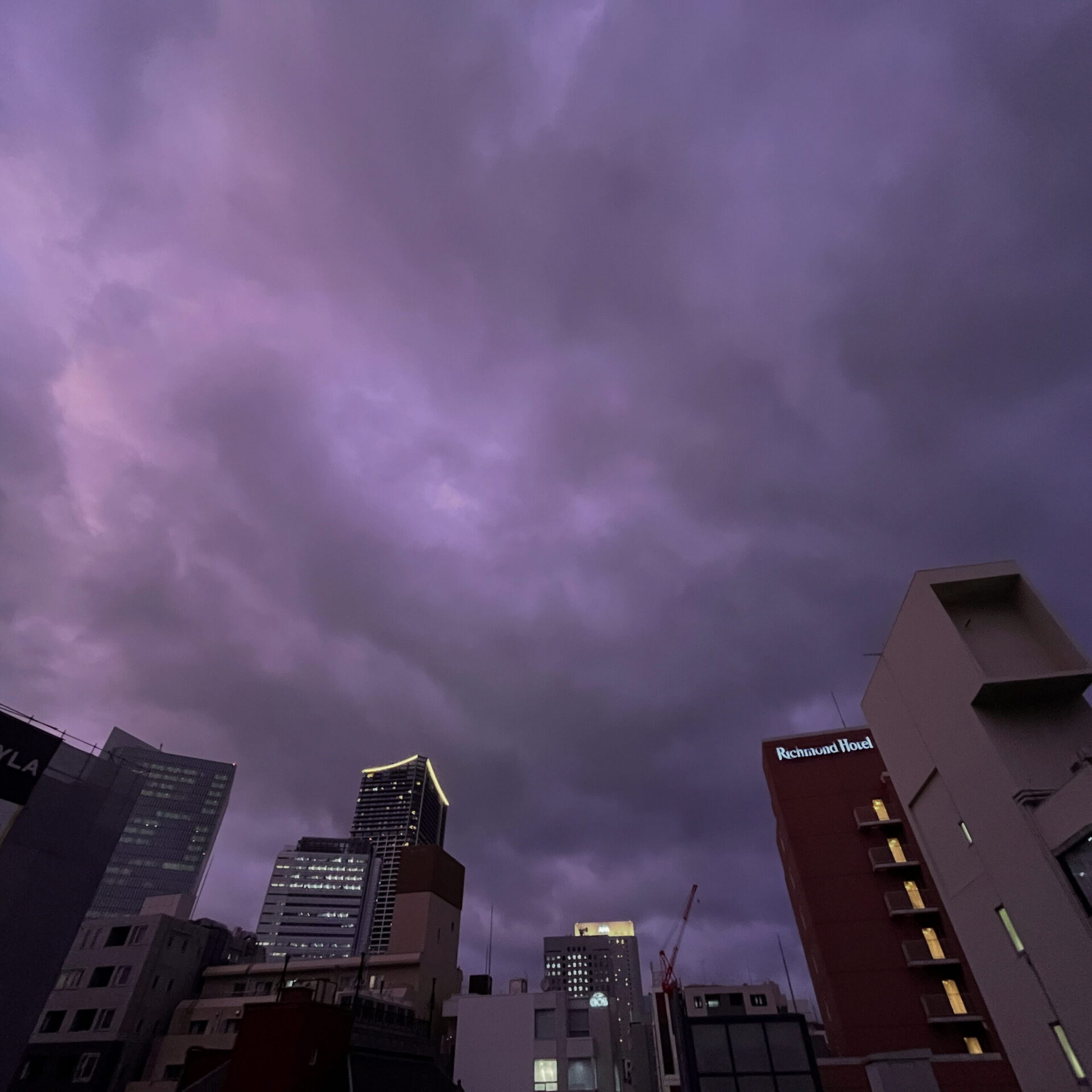 今日のひとこと（2025年8月1日）